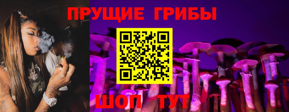 Чапаевск  Галлюциногенные грибы Psilocybe  Вход с VPN 